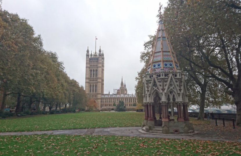 Victoria Square Gardens