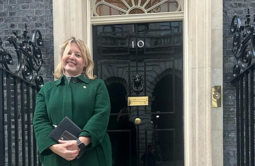 Nickie Aiken outside Downing Street